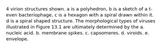 4 virion structures shown. a is a polyhedron, b is a sketch of a t-even bacteriophage, c is a hexagon with a spiral drawn within it. d is a spiral shaped structure. The morphological types of viruses illustrated in Figure 13.1 are ultimately determined by the a. nucleic acid. b. membrane spikes. c. capsomeres. d. viroids. e. envelope.