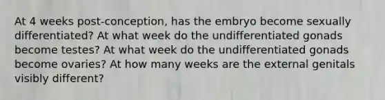 At 4 weeks post-conception, has the embryo become sexually differentiated? At what week do the undifferentiated gonads become testes? At what week do the undifferentiated gonads become ovaries? At how many weeks are the external genitals visibly different?