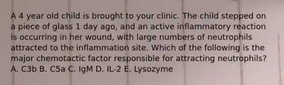 A 4 year old child is brought to your clinic. The child stepped on a piece of glass 1 day ago, and an active inflammatory reaction is occurring in her wound, with large numbers of neutrophils attracted to the inflammation site. Which of the following is the major chemotactic factor responsible for attracting neutrophils? A. C3b B. C5a C. IgM D. IL-2 E. Lysozyme