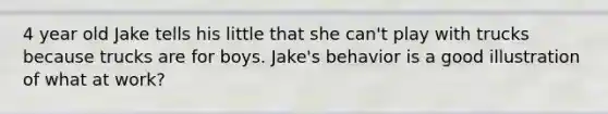 4 year old Jake tells his little that she can't play with trucks because trucks are for boys. Jake's behavior is a good illustration of what at work?