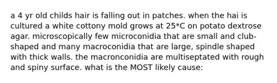 a 4 yr old childs hair is falling out in patches. when the hai is cultured a white cottony mold grows at 25*C on potato dextrose agar. microscopically few microconidia that are small and club-shaped and many macroconidia that are large, spindle shaped with thick walls. the macronconidia are multiseptated with rough and spiny surface. what is the MOST likely cause: