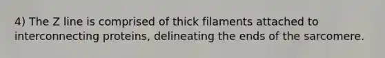 4) The Z line is comprised of thick filaments attached to interconnecting proteins, delineating the ends of the sarcomere.