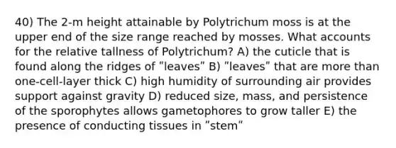 40) The 2-m height attainable by Polytrichum moss is at the upper end of the size range reached by mosses. Wha<a href='https://www.questionai.com/knowledge/k7x83BRk9p-t-accounts' class='anchor-knowledge'>t accounts</a> for the relative tallness of Polytrichum? A) the cuticle that is found along the ridges of ʺleavesʺ B) ʺleavesʺ that are <a href='https://www.questionai.com/knowledge/keWHlEPx42-more-than' class='anchor-knowledge'>more than</a> one-cell-layer thick C) high humidity of surrounding air provides support against gravity D) reduced size, mass, and persistence of the sporophytes allows gametophores to grow taller E) the presence of conducting tissues in ʺstemʺ