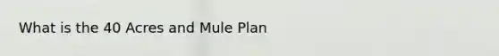 What is the 40 Acres and Mule Plan