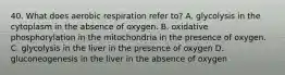 40. What does aerobic respiration refer to? A. glycolysis in the cytoplasm in the absence of oxygen. B. oxidative phosphorylation in the mitochondria in the presence of oxygen. C. glycolysis in the liver in the presence of oxygen D. gluconeogenesis in the liver in the absence of oxygen