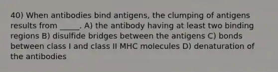 40) When antibodies bind antigens, the clumping of antigens results from _____. A) the antibody having at least two binding regions B) disulfide bridges between the antigens C) bonds between class I and class II MHC molecules D) denaturation of the antibodies