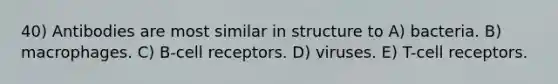 40) Antibodies are most similar in structure to A) bacteria. B) macrophages. C) B-cell receptors. D) viruses. E) T-cell receptors.