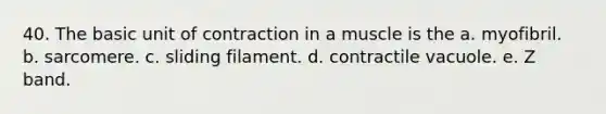 40. The basic unit of contraction in a muscle is the a. myofibril. b. sarcomere. c. sliding filament. d. contractile vacuole. e. Z band.