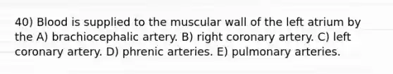 40) Blood is supplied to the muscular wall of the left atrium by the A) brachiocephalic artery. B) right coronary artery. C) left coronary artery. D) phrenic arteries. E) pulmonary arteries.