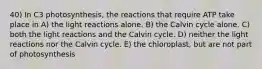 40) In C3 photosynthesis, the reactions that require ATP take place in A) the light reactions alone. B) the Calvin cycle alone. C) both the light reactions and the Calvin cycle. D) neither the light reactions nor the Calvin cycle. E) the chloroplast, but are not part of photosynthesis