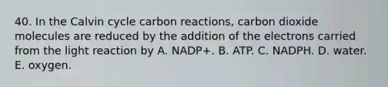 40. In the Calvin cycle carbon reactions, carbon dioxide molecules are reduced by the addition of the electrons carried from the light reaction by A. NADP+. B. ATP. C. NADPH. D. water. E. oxygen.