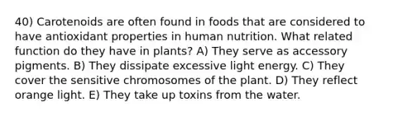 40) Carotenoids are often found in foods that are considered to have antioxidant properties in human nutrition. What related function do they have in plants? A) They serve as accessory pigments. B) They dissipate excessive light energy. C) They cover the sensitive chromosomes of the plant. D) They reflect orange light. E) They take up toxins from the water.