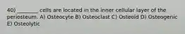 40) ________ cells are located in the inner cellular layer of the periosteum. A) Osteocyte B) Osteoclast C) Osteoid D) Osteogenic E) Osteolytic