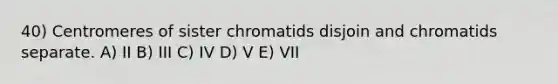 40) Centromeres of sister chromatids disjoin and chromatids separate. A) II B) III C) IV D) V E) VII