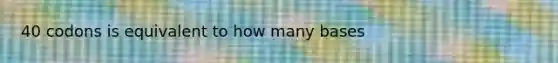 40 codons is equivalent to how many bases