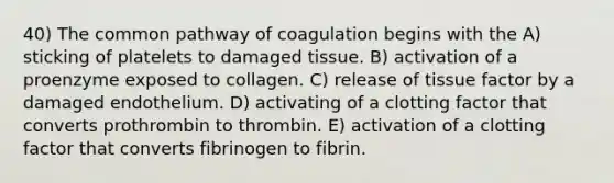 40) The common pathway of coagulation begins with the A) sticking of platelets to damaged tissue. B) activation of a proenzyme exposed to collagen. C) release of tissue factor by a damaged endothelium. D) activating of a clotting factor that converts prothrombin to thrombin. E) activation of a clotting factor that converts fibrinogen to fibrin.