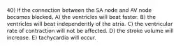 40) If the connection between the SA node and AV node becomes blocked, A) the ventricles will beat faster. B) the ventricles will beat independently of the atria. C) the ventricular rate of contraction will not be affected. D) the stroke volume will increase. E) tachycardia will occur.