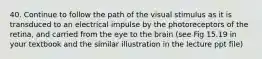 40. Continue to follow the path of the visual stimulus as it is transduced to an electrical impulse by the photoreceptors of the retina, and carried from the eye to the brain (see Fig 15.19 in your textbook and the similar illustration in the lecture ppt file)