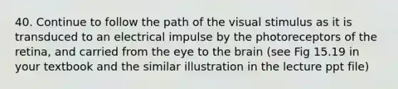 40. Continue to follow the path of the visual stimulus as it is transduced to an electrical impulse by the photoreceptors of the retina, and carried from the eye to <a href='https://www.questionai.com/knowledge/kLMtJeqKp6-the-brain' class='anchor-knowledge'>the brain</a> (see Fig 15.19 in your textbook and the similar illustration in the lecture ppt file)