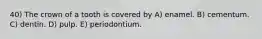 40) The crown of a tooth is covered by A) enamel. B) cementum. C) dentin. D) pulp. E) periodontium.