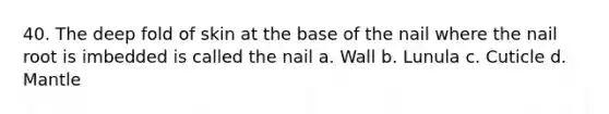 40. The deep fold of skin at the base of the nail where the nail root is imbedded is called the nail a. Wall b. Lunula c. Cuticle d. Mantle