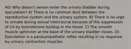 40) Why doesn't semen enter the urinary bladder during ejaculation? A) There is no common duct between the reproductive system and the urinary system. B) There is no urge to urinate during sexual intercourse because of the suppression of LH by testosterone buildup in the blood. C) The smooth muscle sphincter at the base of the urinary bladder closes. D) Ejaculation is a parasympathetic reflex resulting in no response by urinary contraction muscles.