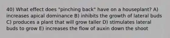 40) What effect does "pinching back" have on a houseplant? A) increases apical dominance B) inhibits the growth of lateral buds C) produces a plant that will grow taller D) stimulates lateral buds to grow E) increases the flow of auxin down the shoot