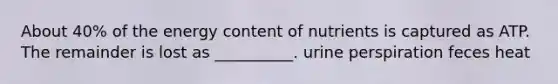 About 40% of the energy content of nutrients is captured as ATP. The remainder is lost as __________. urine perspiration feces heat