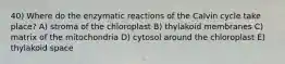 40) Where do the enzymatic reactions of the Calvin cycle take place? A) stroma of the chloroplast B) thylakoid membranes C) matrix of the mitochondria D) cytosol around the chloroplast E) thylakoid space