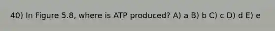 40) In Figure 5.8, where is ATP produced? A) a B) b C) c D) d E) e