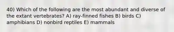 40) Which of the following are the most abundant and diverse of the extant vertebrates? A) ray-finned fishes B) birds C) amphibians D) nonbird reptiles E) mammals