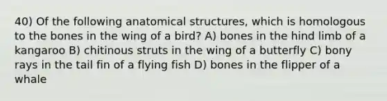 40) Of the following anatomical structures, which is homologous to the bones in the wing of a bird? A) bones in the hind limb of a kangaroo B) chitinous struts in the wing of a butterfly C) bony rays in the tail fin of a flying fish D) bones in the flipper of a whale