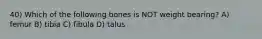 40) Which of the following bones is NOT weight bearing? A) femur B) tibia C) fibula D) talus