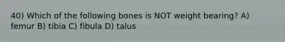 40) Which of the following bones is NOT weight bearing? A) femur B) tibia C) fibula D) talus