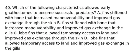 40. Which of the following characteristics allowed early gnathostomes to become successful predators? A. fins stiffened with bone that increased maneuverability and improved gas exchange through the skin B. fins stiffened with bone that increased maneuverability and improved gas exchange in the gills C. lobe fins that allowed temporary access to land and improved gas exchange through the skin D. lobe fins that allowed temporary access to land and improved gas exchange in the gills