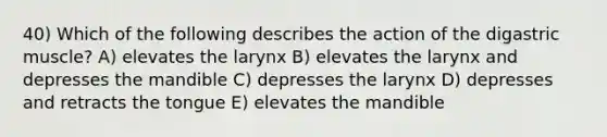 40) Which of the following describes the action of the digastric muscle? A) elevates the larynx B) elevates the larynx and depresses the mandible C) depresses the larynx D) depresses and retracts the tongue E) elevates the mandible