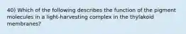 40) Which of the following describes the function of the pigment molecules in a light-harvesting complex in the thylakoid membranes?