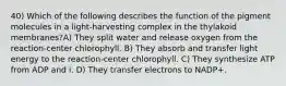 40) Which of the following describes the function of the pigment molecules in a light-harvesting complex in the thylakoid membranes?A) They split water and release oxygen from the reaction-center chlorophyll. B) They absorb and transfer light energy to the reaction-center chlorophyll. C) They synthesize ATP from ADP and i. D) They transfer electrons to NADP+.