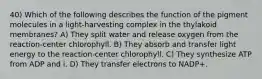 40) Which of the following describes the function of the pigment molecules in a light-harvesting complex in the thylakoid membranes? A) They split water and release oxygen from the reaction-center chlorophyll. B) They absorb and transfer light energy to the reaction-center chlorophyll. C) They synthesize ATP from ADP and i. D) They transfer electrons to NADP+.