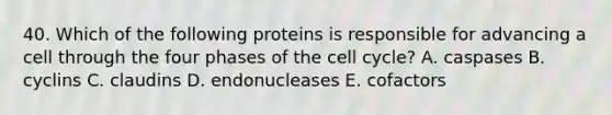 40. Which of the following proteins is responsible for advancing a cell through the four phases of the cell cycle? A. caspases B. cyclins C. claudins D. endonucleases E. cofactors