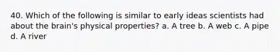 40. Which of the following is similar to early ideas scientists had about <a href='https://www.questionai.com/knowledge/kLMtJeqKp6-the-brain' class='anchor-knowledge'>the brain</a>'s physical properties? a. A tree b. A web c. A pipe d. A river