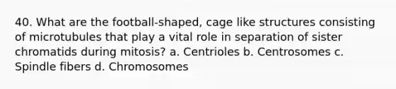 40. What are the football-shaped, cage like structures consisting of microtubules that play a vital role in separation of sister chromatids during mitosis? a. Centrioles b. Centrosomes c. Spindle fibers d. Chromosomes