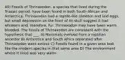 40) Fossils of Thrinaxodon, a species that lived during the Triassic period, have been found in both South African and Antarctica. Thrinaxodon had a reptile-like skeleton and laid eggs, but small depression on the front of its skull suggest it had whiskers and, therefore, fur. Thrinaxodon may have been warm blooded. The fossils of Thrinaxodon are consistent with the hypothesis that ___. A) Mammals evolved from a reptilian ancestor B) Antarctica and South Africa separated after Thrinaxodon went extinct C) Fossils found in a given area look like the modern species in that same area D) The environment where it lived was very warm