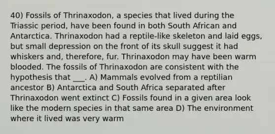 40) Fossils of Thrinaxodon, a species that lived during the Triassic period, have been found in both South African and Antarctica. Thrinaxodon had a reptile-like skeleton and laid eggs, but small depression on the front of its skull suggest it had whiskers and, therefore, fur. Thrinaxodon may have been warm blooded. The fossils of Thrinaxodon are consistent with the hypothesis that ___. A) Mammals evolved from a reptilian ancestor B) Antarctica and South Africa separated after Thrinaxodon went extinct C) Fossils found in a given area look like the modern species in that same area D) The environment where it lived was very warm