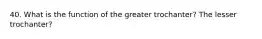 40. What is the function of the greater trochanter? The lesser trochanter?