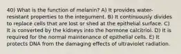 40) What is the function of melanin? A) It provides water-resistant properties to the integument. B) It continuously divides to replace cells that are lost or shed at the epithelial surface. C) It is converted by the kidneys into the hormone calcitriol. D) It is required for the normal maintenance of epithelial cells. E) It protects DNA from the damaging effects of ultraviolet radiation.