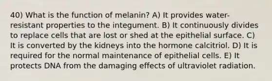 40) What is the function of melanin? A) It provides water-resistant properties to the integument. B) It continuously divides to replace cells that are lost or shed at the epithelial surface. C) It is converted by the kidneys into the hormone calcitriol. D) It is required for the normal maintenance of epithelial cells. E) It protects DNA from the damaging effects of ultraviolet radiation.