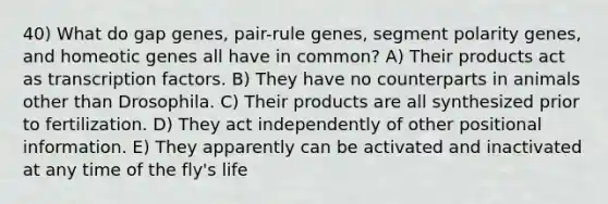 40) What do gap genes, pair-rule genes, segment polarity genes, and homeotic genes all have in common? A) Their products act as transcription factors. B) They have no counterparts in animals other than Drosophila. C) Their products are all synthesized prior to fertilization. D) They act independently of other positional information. E) They apparently can be activated and inactivated at any time of the fly's life