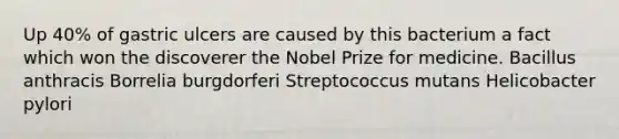 Up 40% of gastric ulcers are caused by this bacterium a fact which won the discoverer the Nobel Prize for medicine. Bacillus anthracis Borrelia burgdorferi Streptococcus mutans Helicobacter pylori