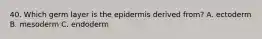 40. Which germ layer is the epidermis derived from? A. ectoderm B. mesoderm C. endoderm